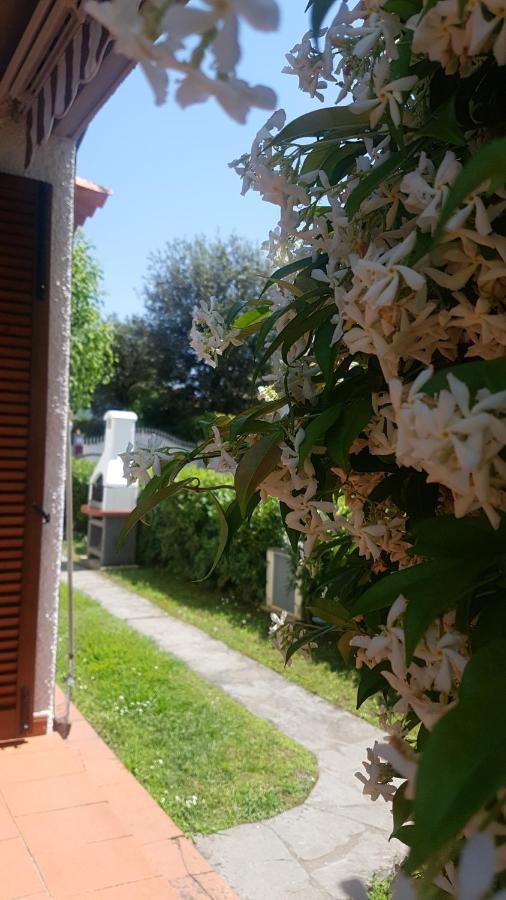Villetta Cinquale Versilia Zewnętrze zdjęcie