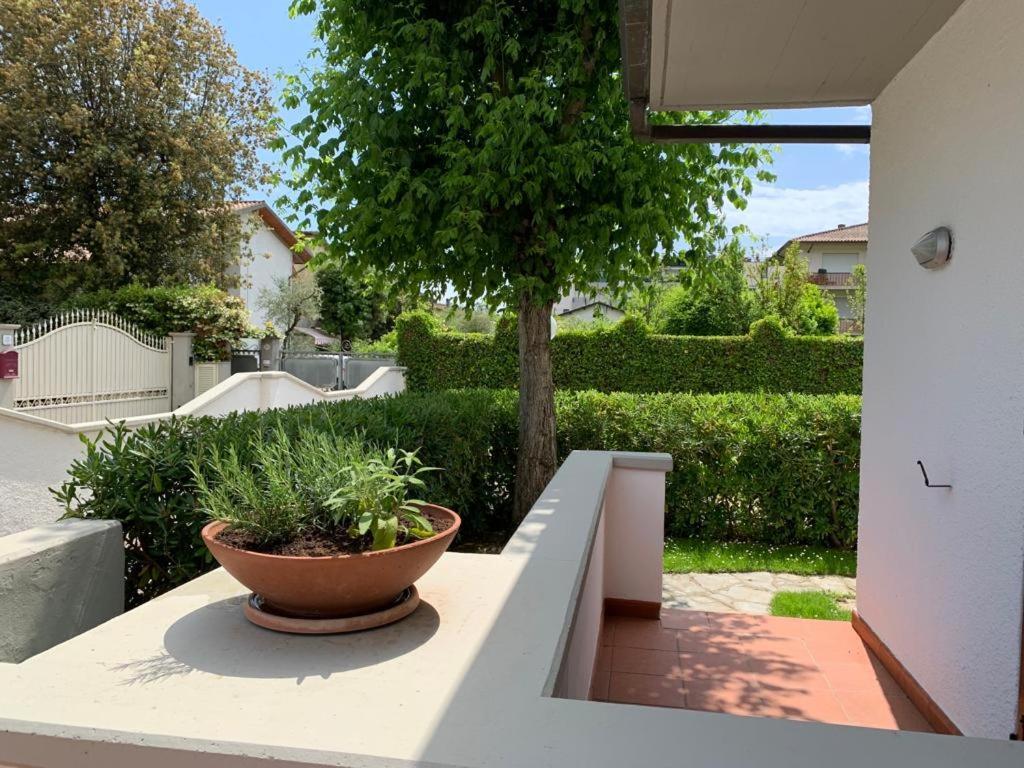 Villetta Cinquale Versilia Zewnętrze zdjęcie